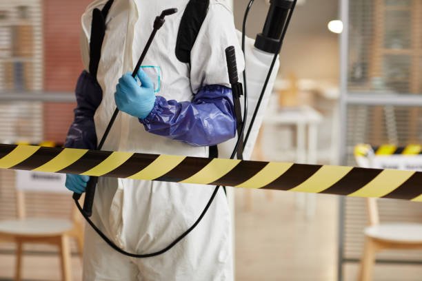 Professional Odor Removal technician working in Union City, MI