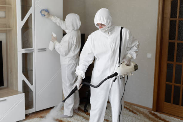24/7 Emergency Odor Removal experts in Union City, MI